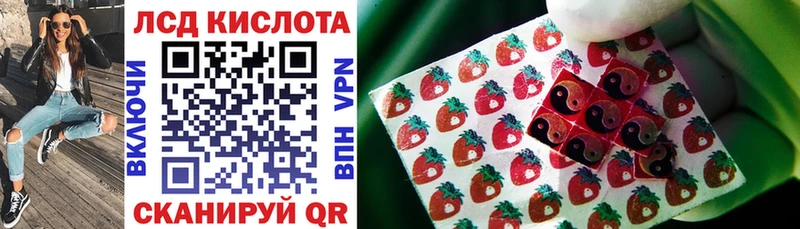 Купить где  Великие Луки  Марки NBOMe 1,8мг 